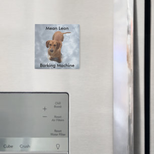 Schattigee bruine teckel blafmachine magneet