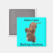 Schattigee bruine teckel blafmachine magneet (Voorkant / Achterkant)