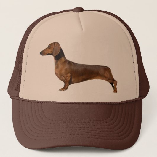 Schattigee bruine teckel trucker pet (Voorkant)