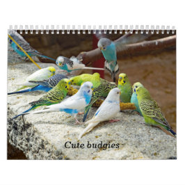 Schattigee budgies - snapshots van de kleine vogel kalender
