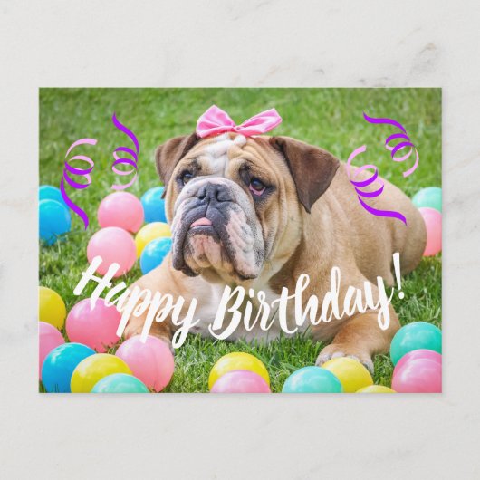 Schattigee Bulldog Happy Birthday Briefkaart (Voorkant)