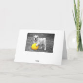 Schattigee Bulldog in Bow Blank Wenskaart Kaart (Achterkant)
