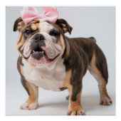 Schattigee Bulldog Poster Wall Art (Voorkant)