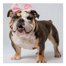 Schattigee Bulldog Poster Wall Art