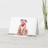 Schattigee Bulldog Puppy Happy Valentijnsdag Feestdagen Kaart (Voorkant)