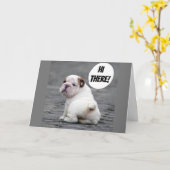 **SCHATTIGEE BULLDOG*** WIL DAT JE SNEL BETER WORD KAART (Gele Bloem)