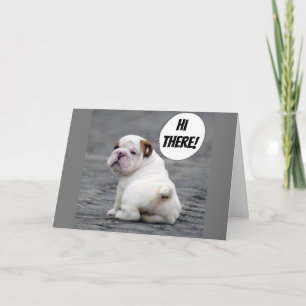 **SCHATTIGEE BULLDOG*** WIL DAT JE SNEL BETER WORD KAART