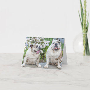 Schattigee Bulldogs Gepersonaliseerd Wenskaart Kaart