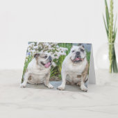 Schattigee Bulldogs Happy Jubileum gepersonaliseer Kaart (Voorkant)
