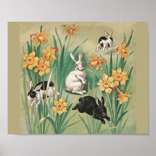 Schattigee Bunnies met Daffodil Flowers Antiek Pas Poster (Voorkant)