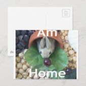 Schattigee Bunny Snacking Briefkaart (Voorkant / Achterkant)