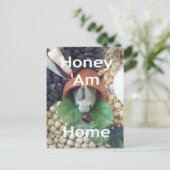 Schattigee Bunny Snacking Briefkaart (Staand voorkant)