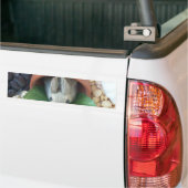 Schattigee Bunny Snacking Bumpersticker (Op Truck)
