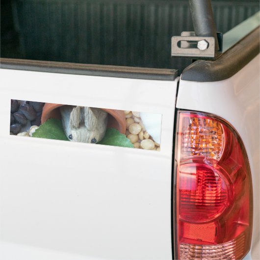 Schattigee Bunny Snacking Bumpersticker (Op Truck)