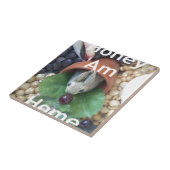 Schattigee Bunny Snacking Tegeltje (Zijkant)