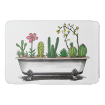 Schattigee Cactus Planten