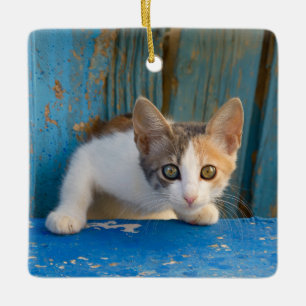Schattigee Calico Cat Kitten Grappig Nieuwsgierige Keramisch Ornament