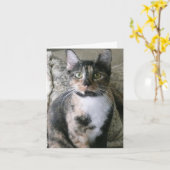 Schattigee Calico Cat, Purrfect Verjaardag Kaart (Gele Bloem)