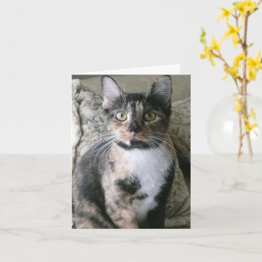 Schattigee Calico Cat, Purrfect Verjaardag Kaart (Gele Bloem)