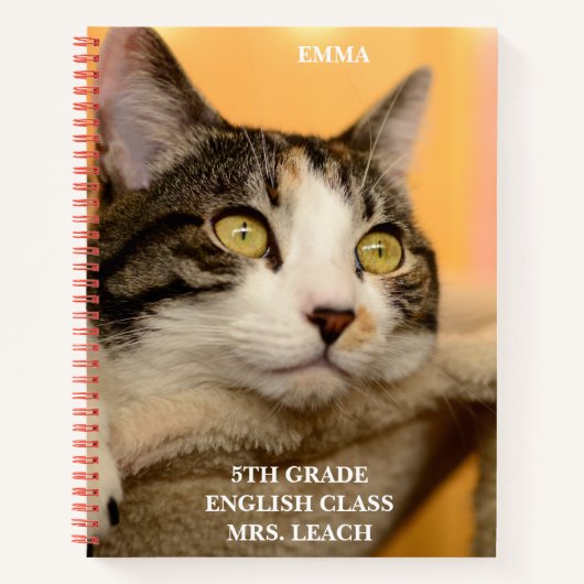 Schattigee Calico Cat School Kinder Klaslokaal Not Notitieboek (Voorkant)