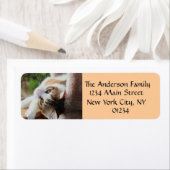 Schattigee Calico Kitten Cat Lover Retouradreslabe Etiket (Insitu)