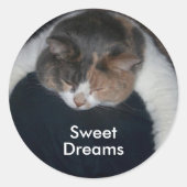 Schattigee Calico slaapkat over schouder Ronde Sticker (Voorkant)