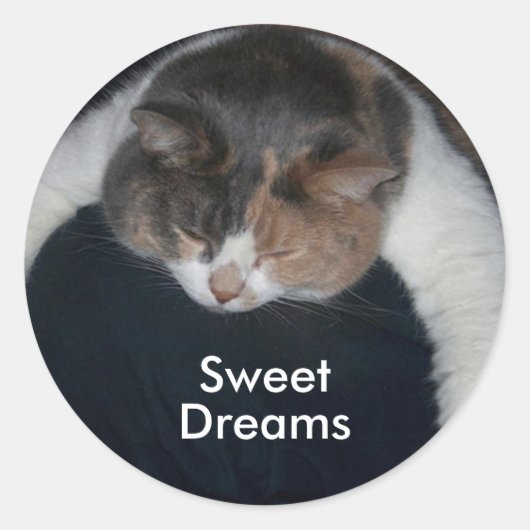 Schattigee Calico slaapkat over schouder Ronde Sticker (Voorkant)