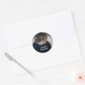 Schattigee Calico slaapkat over schouder Ronde Sticker (Envelop)