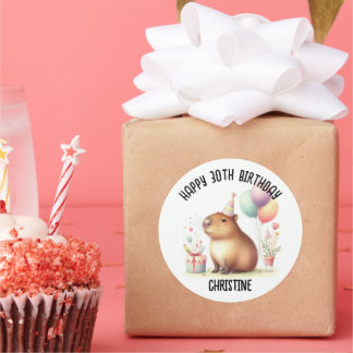 Schattigee capibara verjaardagsfeest gunsten ronde sticker