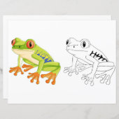 Schattigee Cartoon kikker kleurplaat (Voorkant / Achterkant)