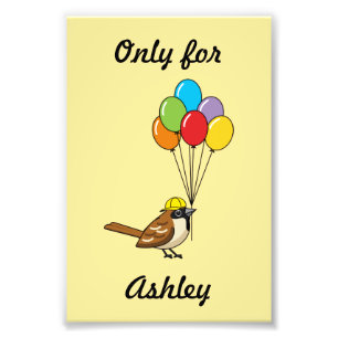 Schattigee Cartoon Sparrow met ballonnen met de na Foto Afdruk