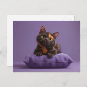 Schattigee Cartoon Tortoiseshell Kitten op Paarse  Briefkaart (Voorkant / Achterkant)