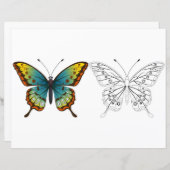 Schattigee Cartoon vlinder kleurplaat (Voorkant / Achterkant)