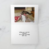 Schattigee Cat Christmas, genieten van cadeau aang Aankondiging (Binnen)