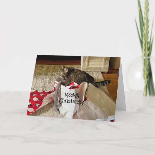 Schattigee Cat Christmas, genieten van cadeau aang Aankondiging (Voorkant)