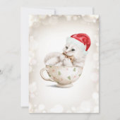 Schattigee Cat Christmas Kaarten 3 (Voorkant)