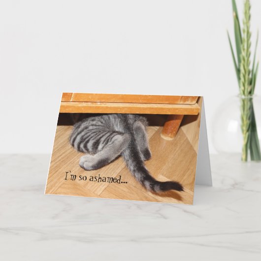 Schattigee Cat Excuses Grappig Sorry zo beschaamd Kaart (Voorkant)