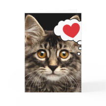 Schattigee Cat Heart Valentijnsdag Wenskaart