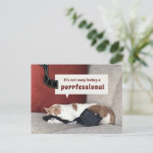 Schattigee Cat "Het is niet gemakkelijk om een pro Briefkaart (Staand voorkant)