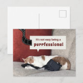 Schattigee Cat "Het is niet gemakkelijk om een pro Briefkaart (Voorkant / Achterkant)