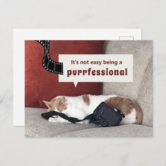 Schattigee Cat "Het is niet gemakkelijk om een pro Briefkaart (Voorkant / Achterkant)