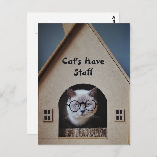 Schattigee Cat Humor Funny Cats hebben een persone Briefkaart (Voorkant / Achterkant)