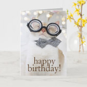 Schattigee Cat Nerd Bril Happy Birthday Wenskaart Kaart (Gele Bloem)