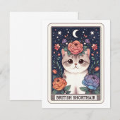 Schattigee Cat Note Kaart Notitiekaartje (Voorkant / Achterkant)