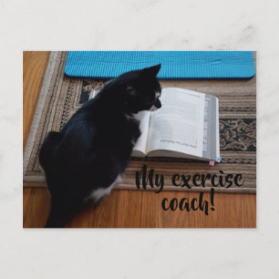 Schattigee Cat Oefening Coach Jouw tekst Briefkaar Briefkaart