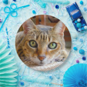 Schattigee Cat papieren borden Bordje (Feest)