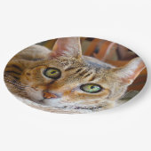 Schattigee Cat papieren borden Bordje (Gekanteld)