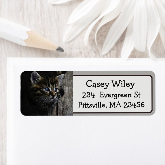 Schattigee Cat Photo Return Adres Label (Insitu)