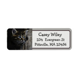 Schattigee Cat Photo Return Adres Label
