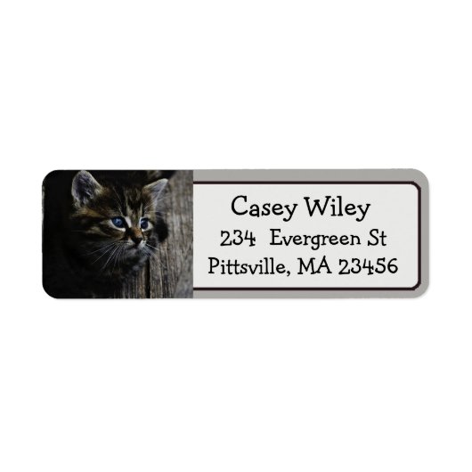 Schattigee Cat Photo Return Adres Label (Voorkant)